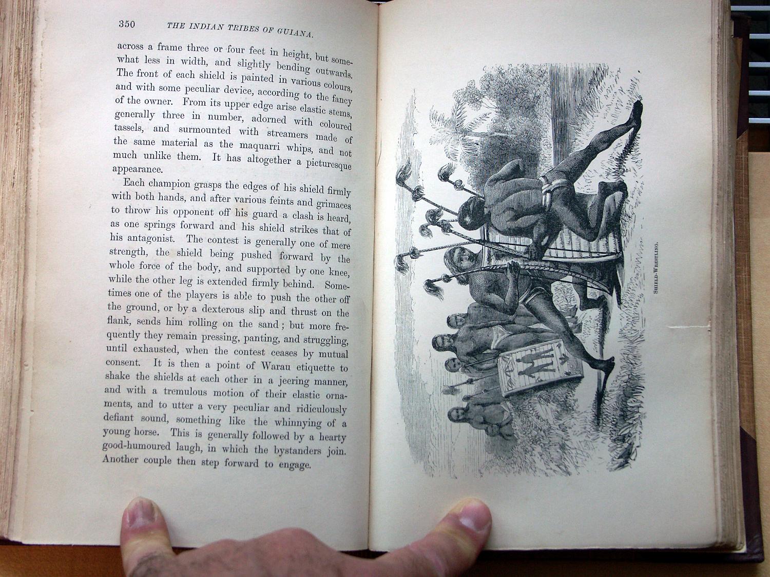 zz-bret68,s.349 warrau schild-kampf isahi